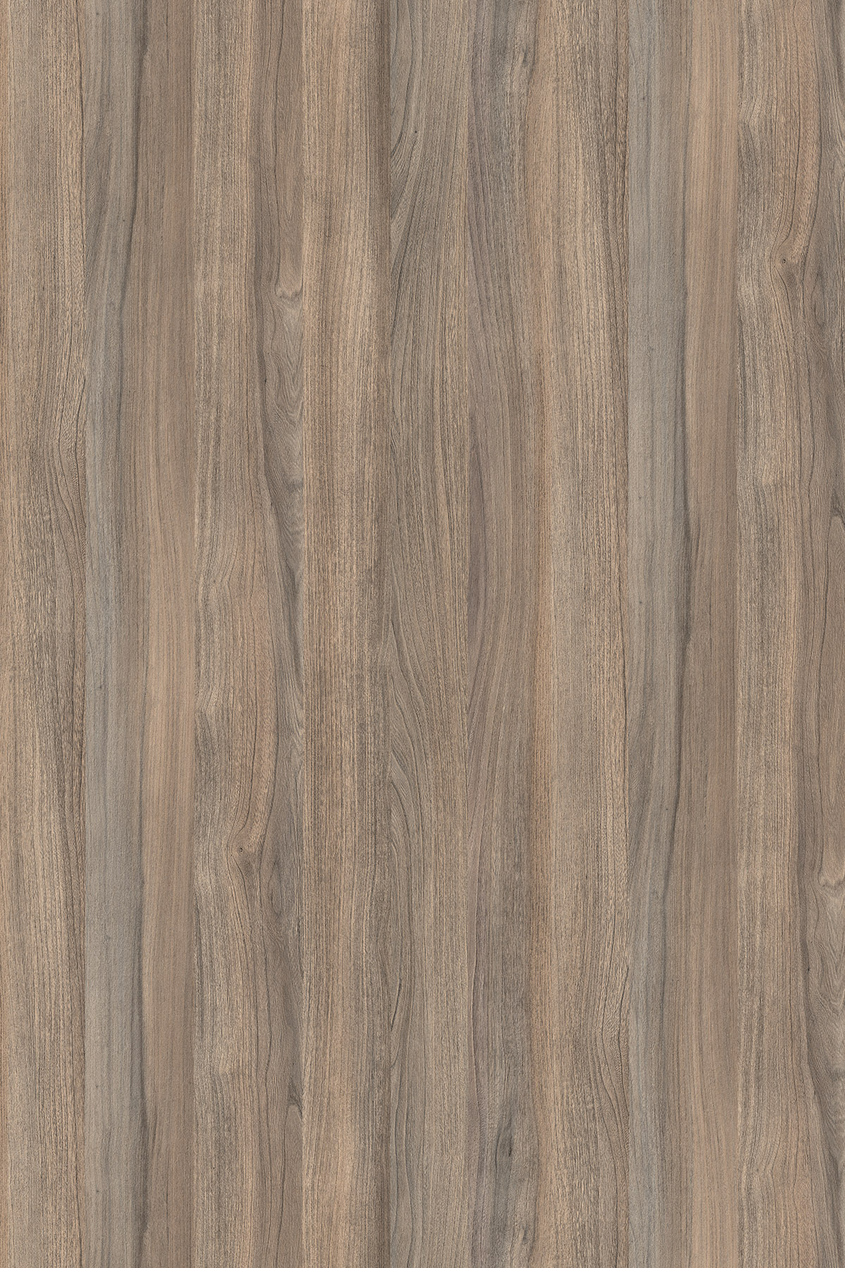 A1-PB-K018 — Smoked Liberty Elm