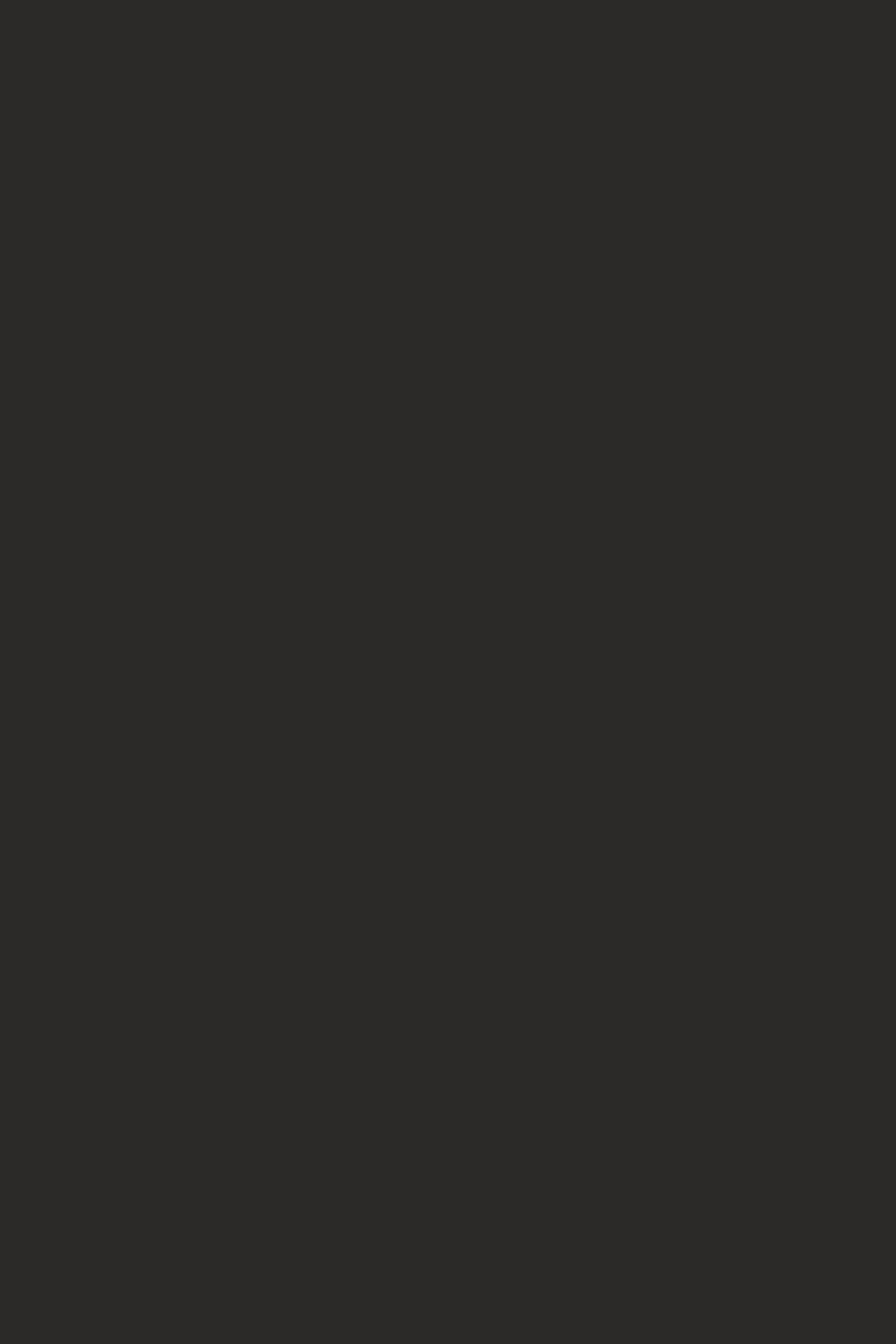 A1-HPL-K166 — Basalt