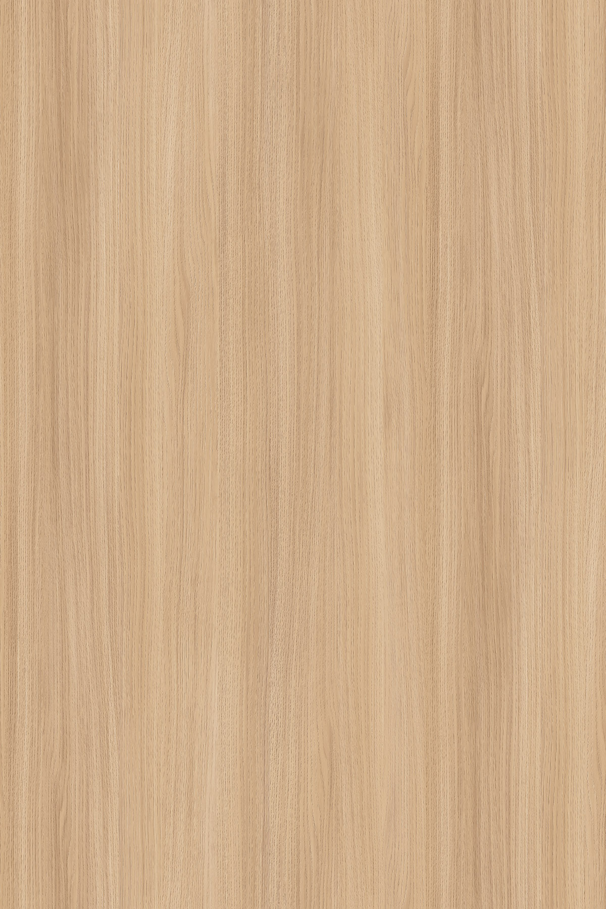 A1-MDF-K543 — Sand Barbera Oak