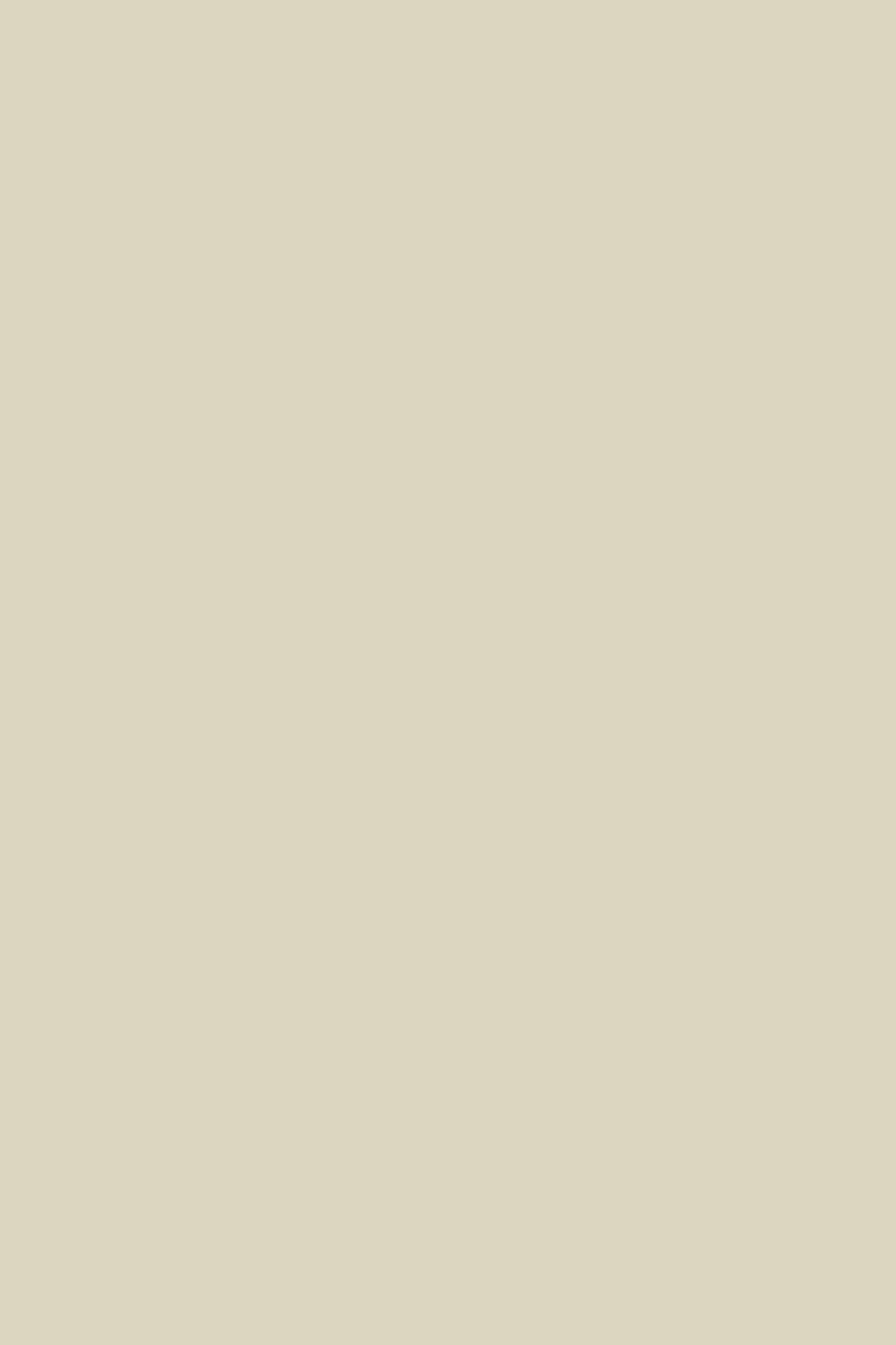 A1-HPL-K5982 — Mussel