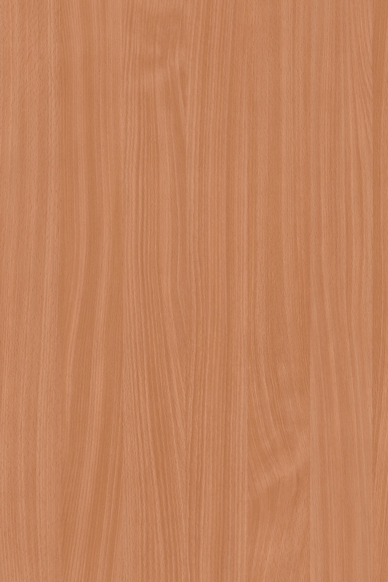 Savaria Beech