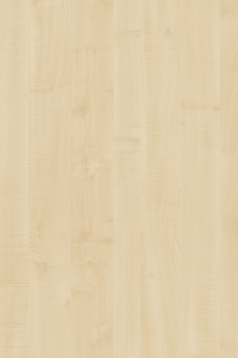 European Maple