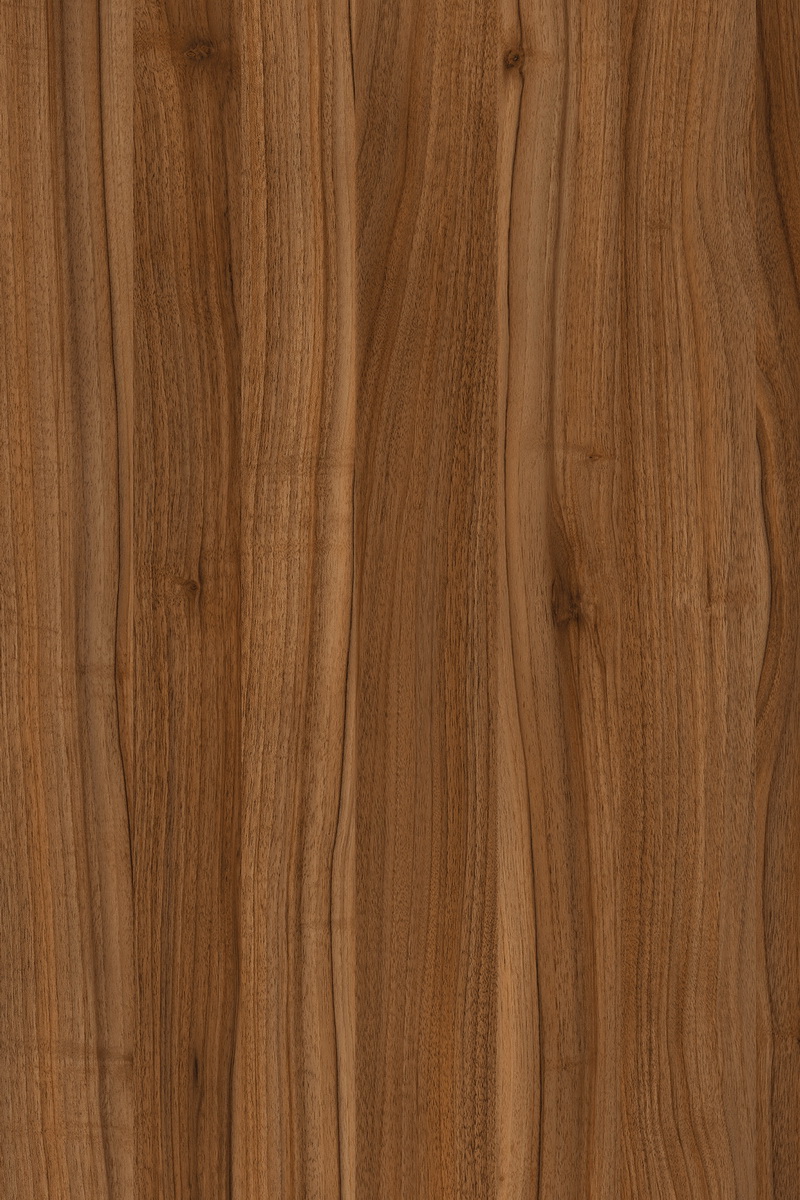Robinia