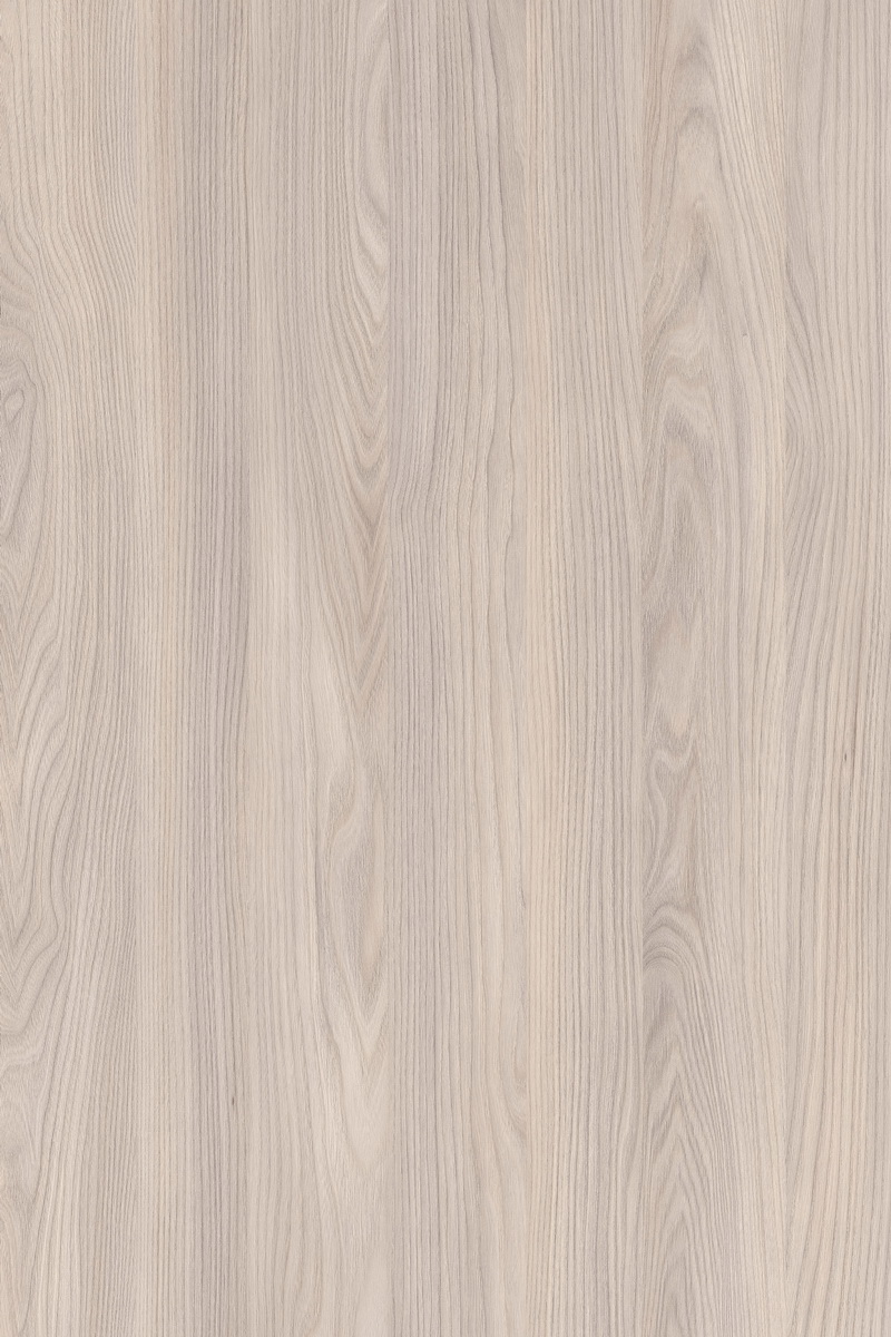 Montana Oak
