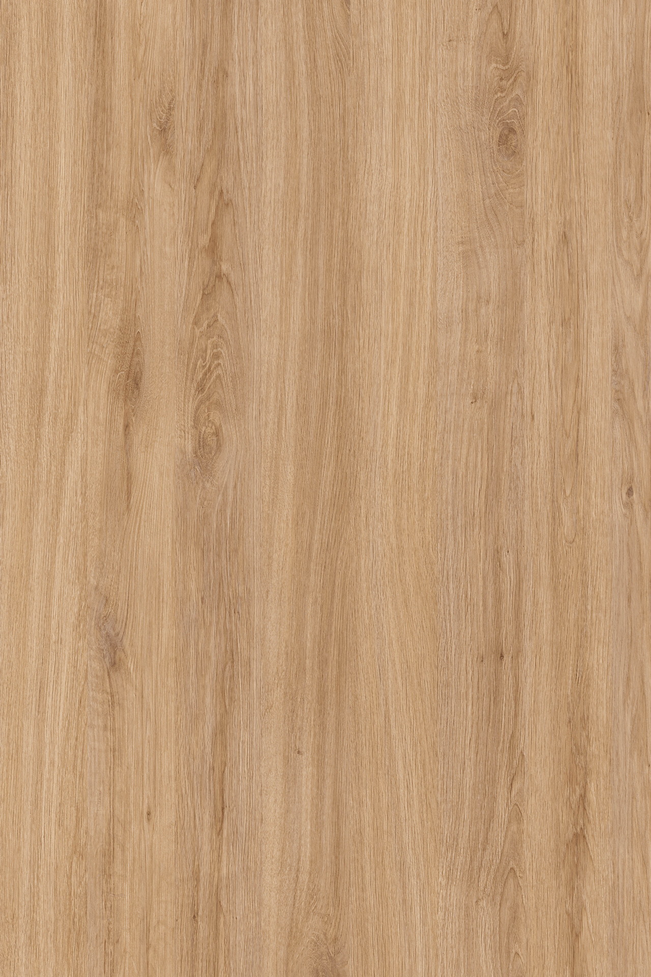 Spanish Oak