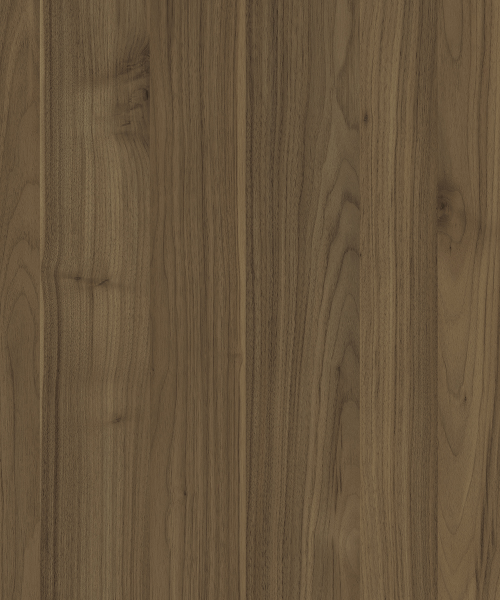 Admiral Walnut