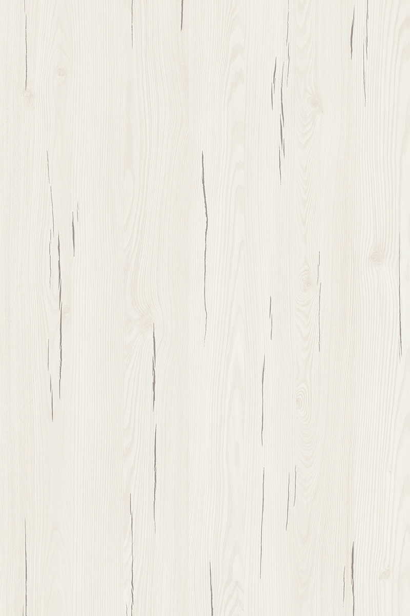 Northern Pine