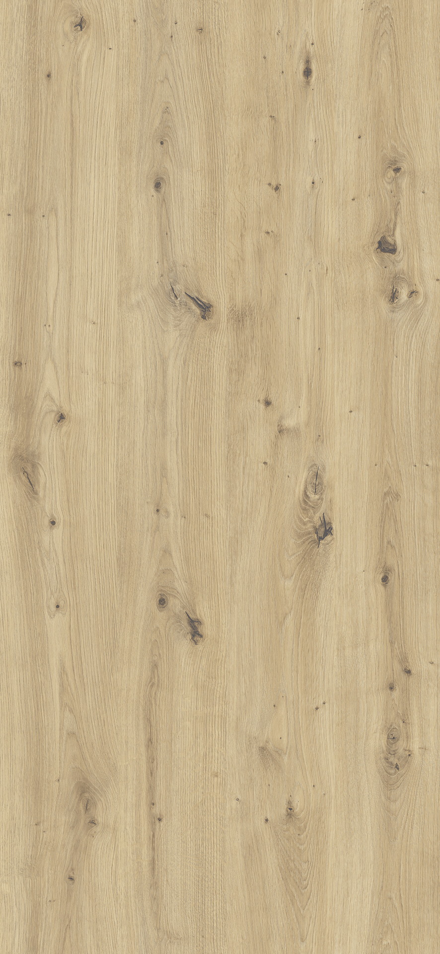 Walpole Oak