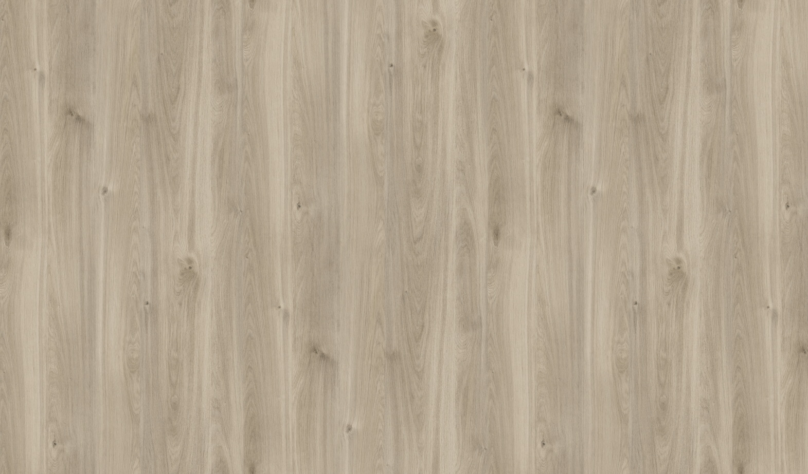 Palas Oak