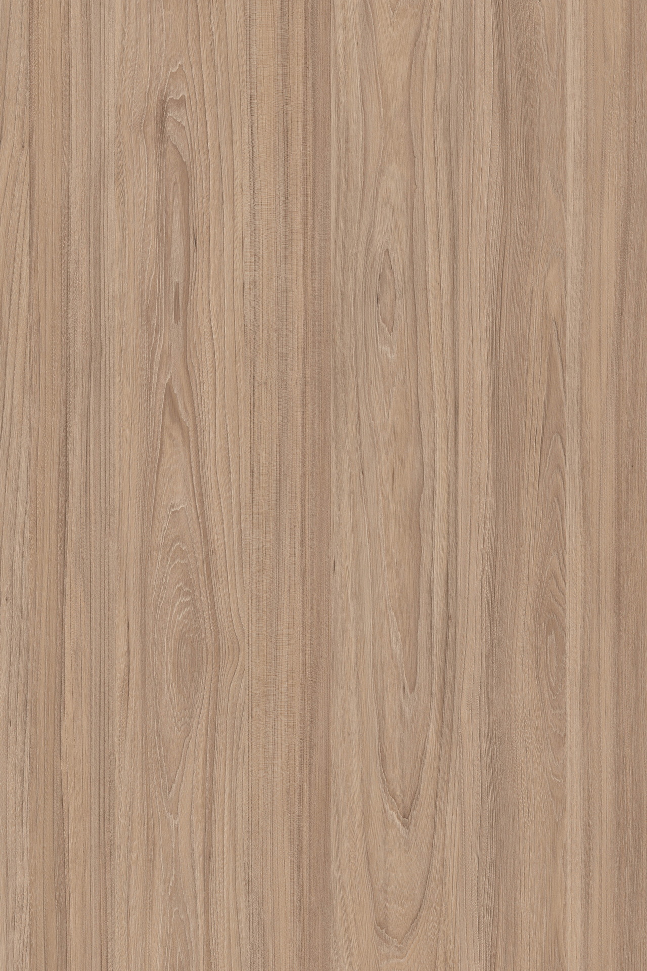 Light Rauna Elm
