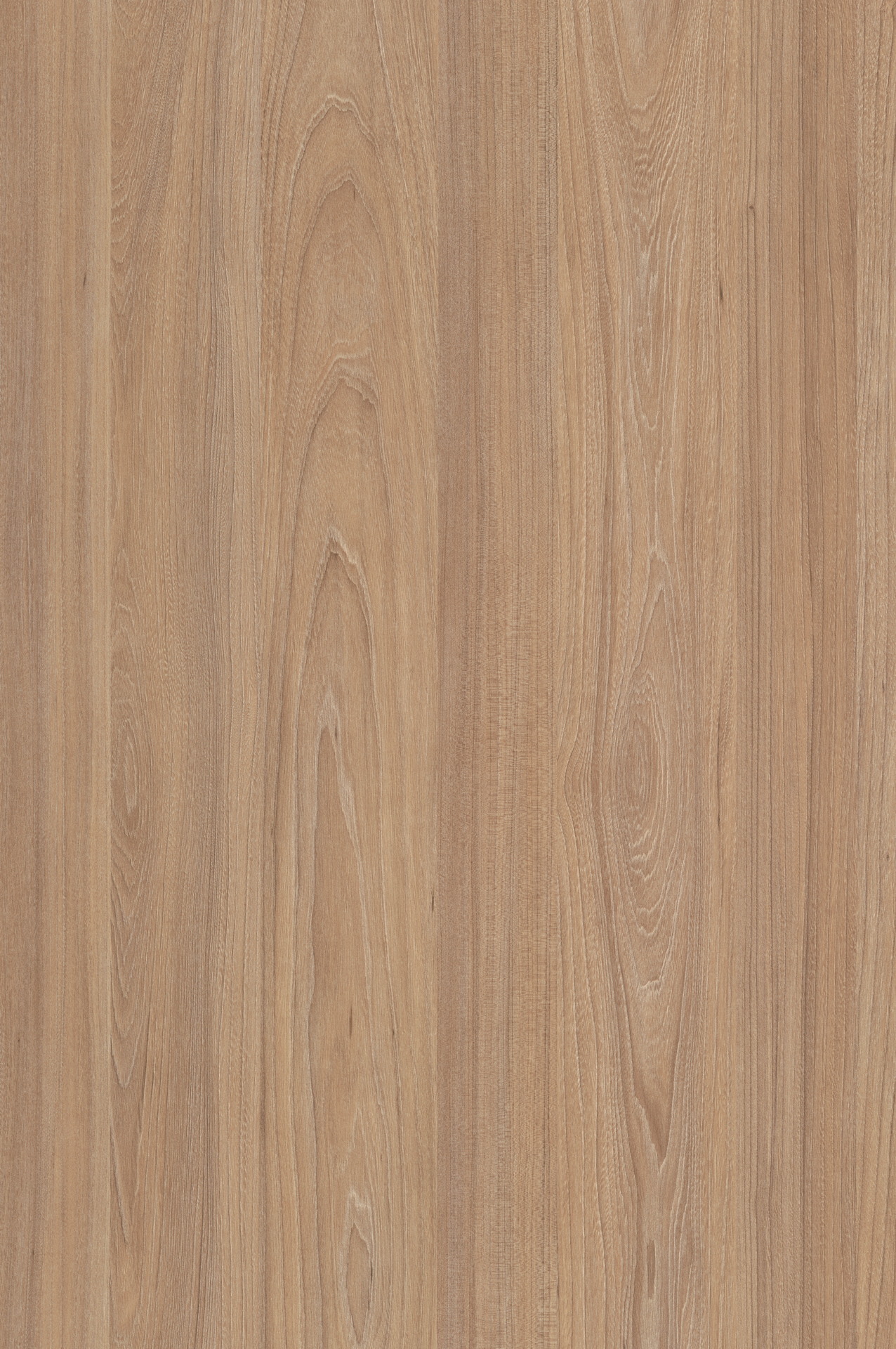 Dark Rauna Elm