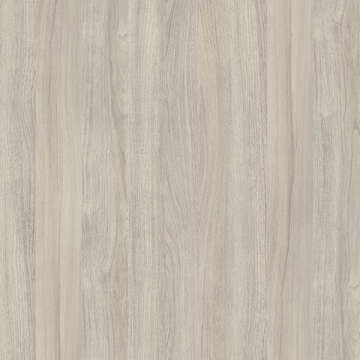 A1-HPL-K019 — Silver Liberty Elm