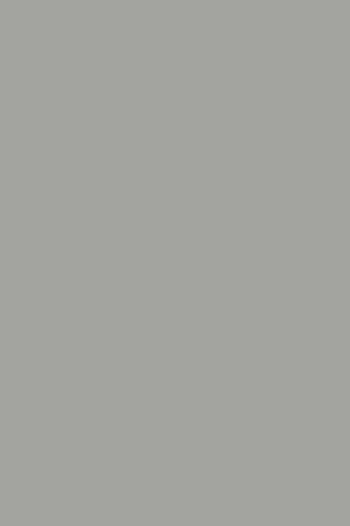 A1-PB-K197 — Chinchilla Grey