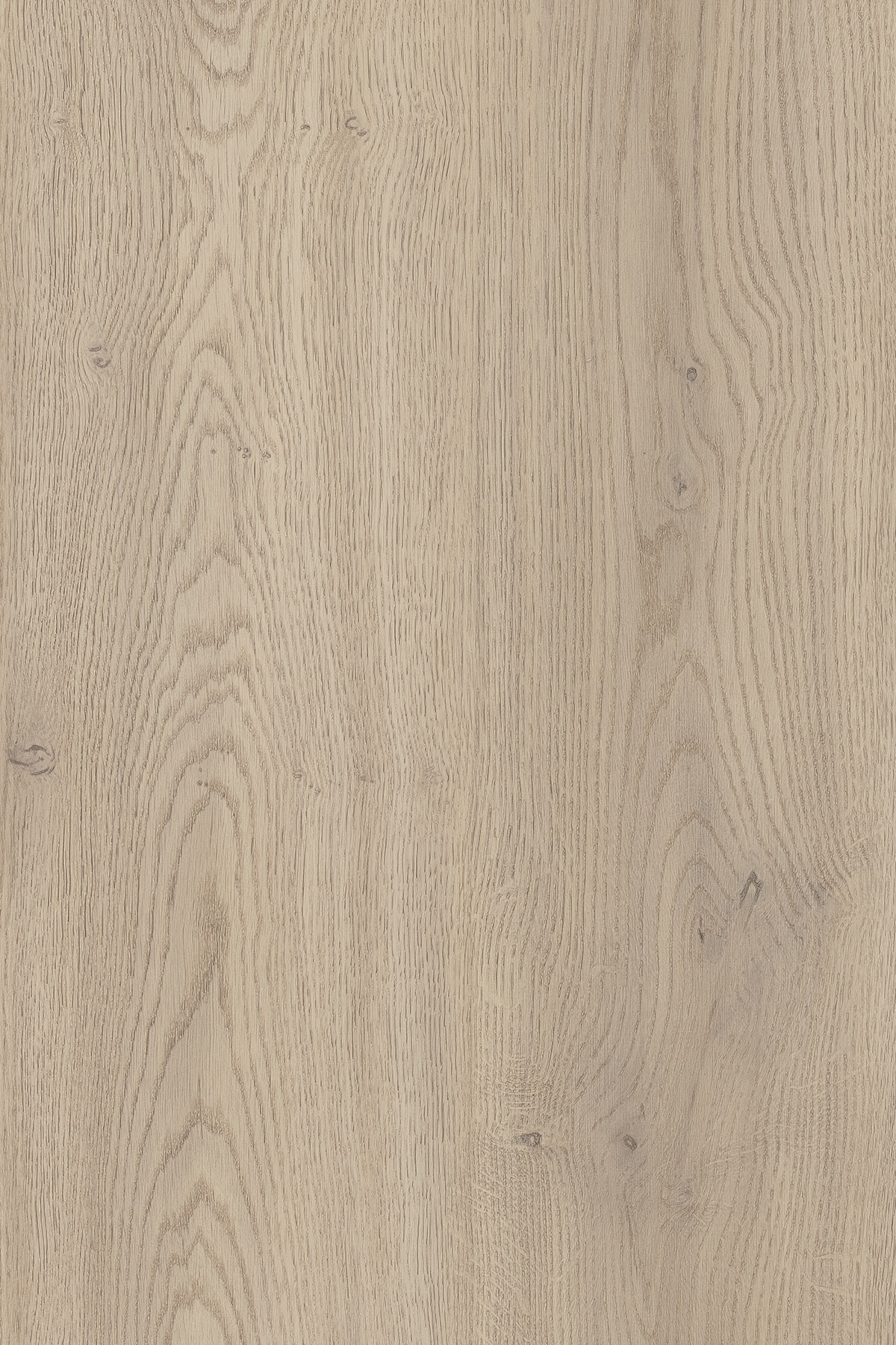 A1-HPL-K2737 — Cotta Cremona Oak 1