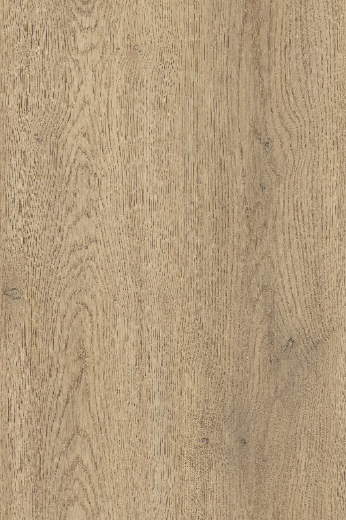 A1-HPL-K2738 — Torro Cremona Oak 2