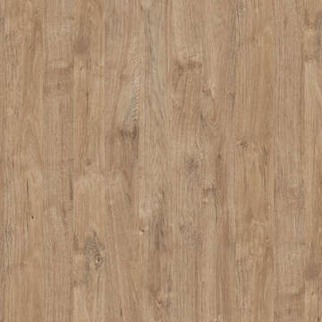 A1-PB-K361 — Gold Harbor Oak
